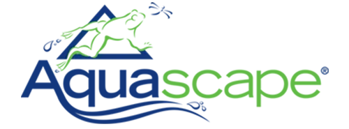 Aquascape