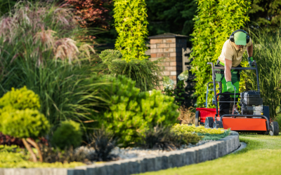 Aeration and Overseeding