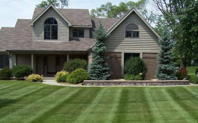 Simple Landscape Care Solutions for a Cleaner, Healthier Yard