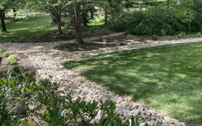 Project Highlight: Water Management in the Landscape
