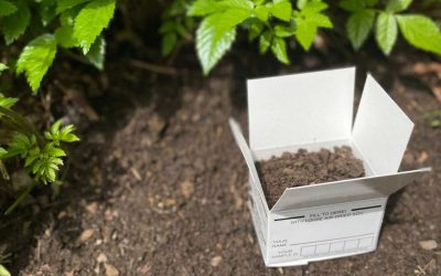 Unlocking the Secrets Beneath: The Importance of Soil Testing