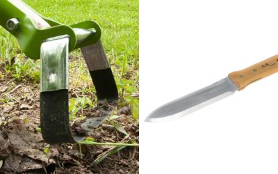 Streamlining Weed Control In Your Garden