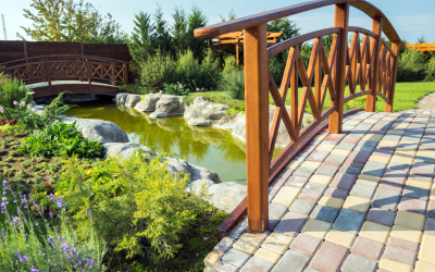 4 Types of Ponds for your Backyard