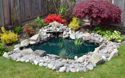 Winterizing Ponds
