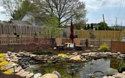 Transforming A Backyard into a Serene Garden Oasis