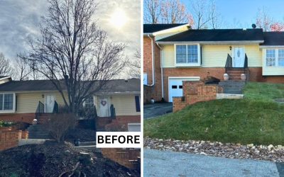 Winter Yard Maintenance: Tips To Keep Your Landscape Healthy and Beautiful