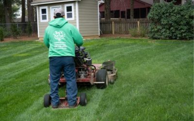 Lawn Mower Maintenance: The Key to a Healthier Lawn