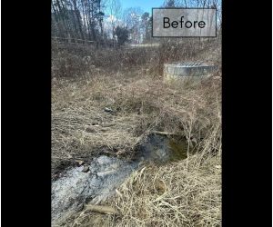 Before image of an overgrown drainage area with standing water and debris, in need of restoration and erosion control.
