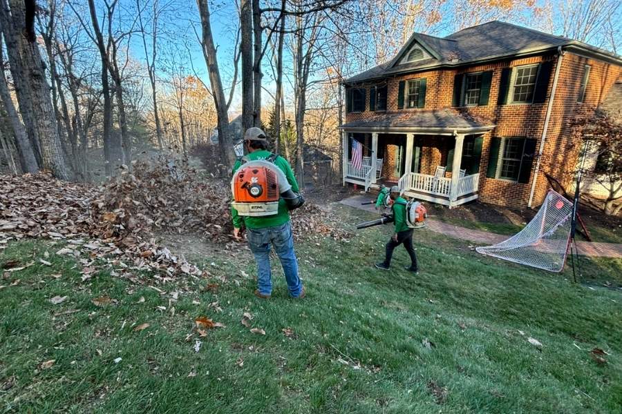 Landscaping crew using backpack leaf blowers to clear fallen leaves from a sloped lawn in front of a brick home surrounded by trees.