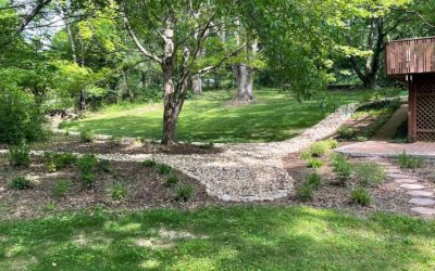 Landscape Installation: Improving Drainage and Spring Planting