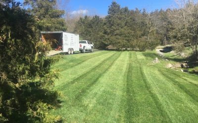 How to Care for Trees, Turf and Shrubs