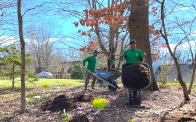 2025 Landscape Maintenance Guide