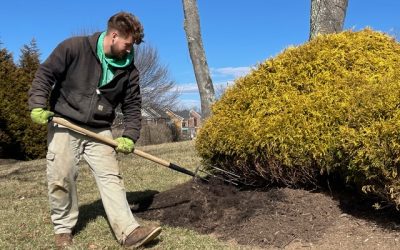 The Benefits of Mulching and Best Practices for Success
