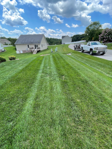 Long lush green lawn
