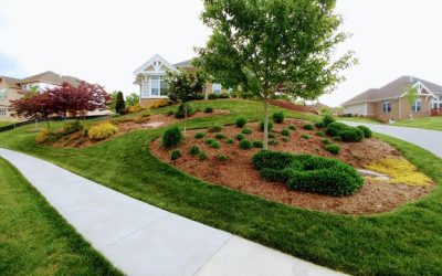 Getting Your Lawn Ready for Summer