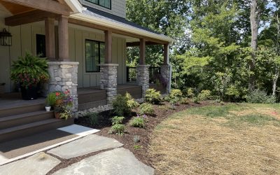 Watering new plants this summer