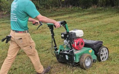Turf Care: Building a Healthier, Greener Lawn Year-Round