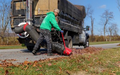 Fall leaf cleanup