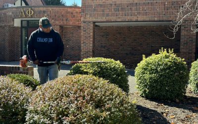 Fall Care for Your Perennials