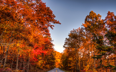 Enjoying Fall Color in Our Beautiful Mountains