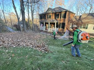 Team blowing leaves in yard