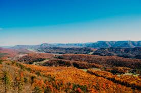 Fall colors in the mountains