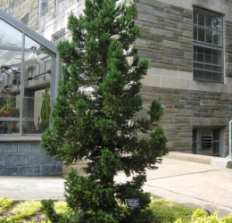 Spring Gardening Tips for a Healthy, Beautiful Landscape
