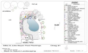 Landscape design drawing