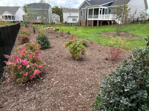Plant beds outside of house