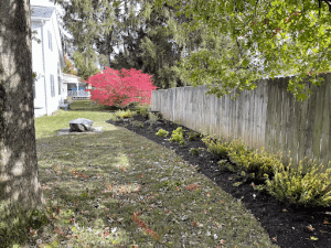 Beautiful long plant bed