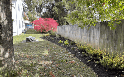 Spring Planting Tips for a Healthy, Thriving Landscape